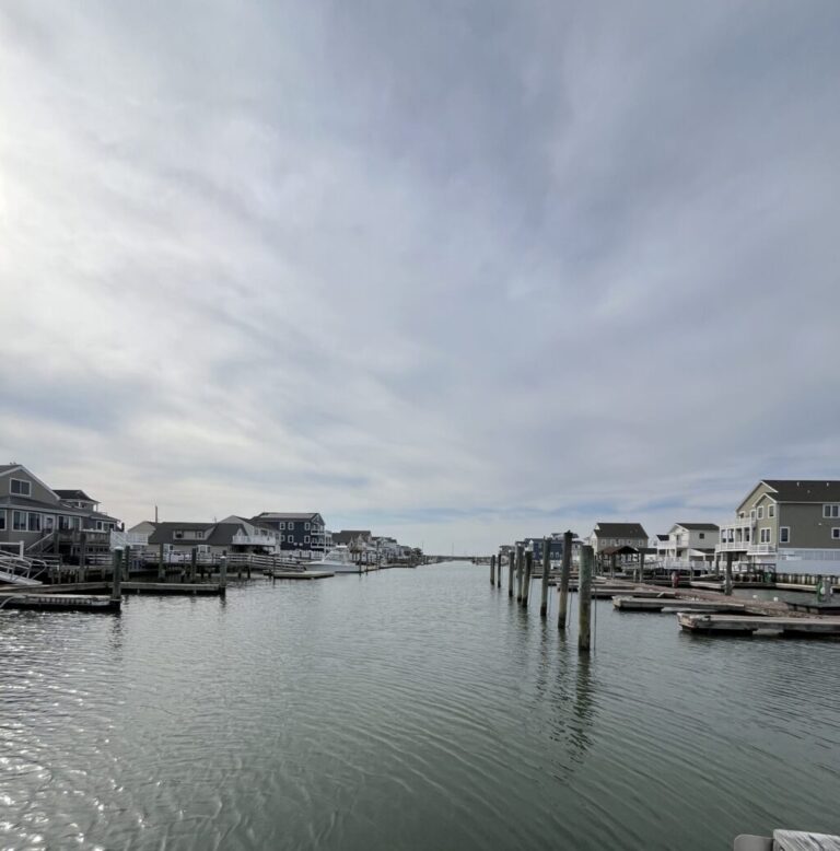dock image