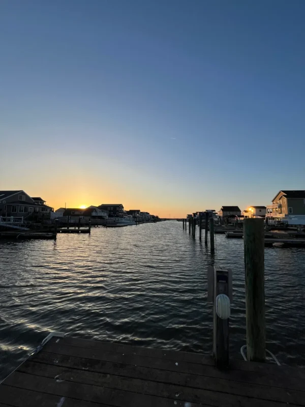 Roosters’ Sunset